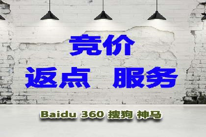 成功运用SEM技术提升网站流量的案例研究